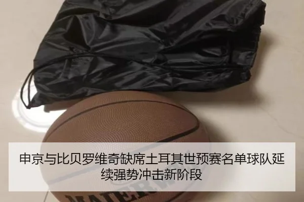 申京与比贝罗维奇缺席土耳其世预赛名单球队延续强势冲击新阶段